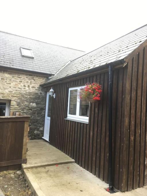 Villa Y Boidy Bach Llangranog Exterior foto